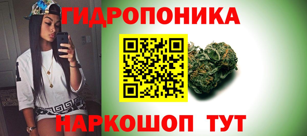 Каннабис тримм  Бошки Шишки тримм  Бошки Шишки MAZAR  Урюпинск  Вход с VPN  Бошки марихуана план 